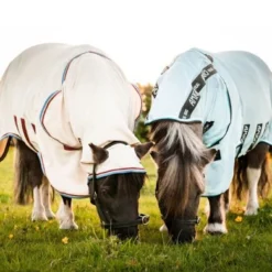 Rambo Hoody Petite Sand/Cherry -Exporteren Paard Gear Winkel hw aoap6c trzc aorb60 ddkw 2.d47709