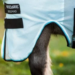 Amigo Bug Rug Petite Azure Blue/Zwart 12 Amigo Bug Rug Petite Azure Blue/Zwart -Exporteren Paard Gear Winkel hw aorb60 ddkw 3.089db1