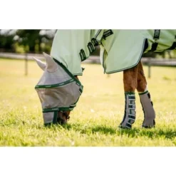 Horseware Flyboots Oatmeal/Sage -Exporteren Paard Gear Winkel hw ddhfl0 mfmh horseware fly boot 4.b302d4
