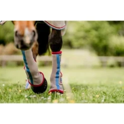 Horseware Flyboots Oatmeal/Cherry -Exporteren Paard Gear Winkel hw ddhfl0 mrzc horseware fly boot 3.1d33ba