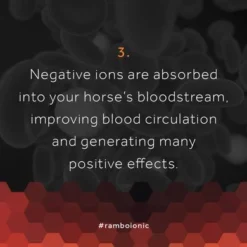 Rambo Ionic Stable Liner 100g Black/Black & Orange Stripe 20 Rambo Ionic Stable Liner 100g Black/Black & Orange Stripe -Exporteren Paard Gear Winkel hw ionic 1080x1080 5.c78553 1