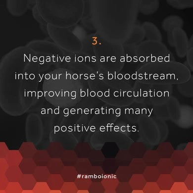 Rambo Ionic Stable Liner 100g Black/Black & Orange Stripe 10 Rambo Ionic Stable Liner 100g Black/Black & Orange Stripe - Afbeelding 10