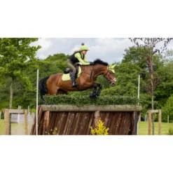 LeMieux Zadeldekje Suede Square CC Kiwi L (Full) 15 LeMieux Zadeldekje Suede Square CC Kiwi L (Full) -Exporteren Paard Gear Winkel it02678 lifestyle suedeclosecontactsquare kiwi 1 copy.c2ab28