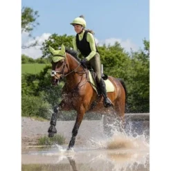 LeMieux Zadeldekje Suede Square CC Kiwi L (Full) 16 LeMieux Zadeldekje Suede Square CC Kiwi L (Full) -Exporteren Paard Gear Winkel it02678 lifestyle suedeclosecontactsquare kiwi 3.04bf5c