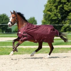 Kavalkade Outdoordeken Alaska IV Fleece Bordeaux -Exporteren Paard Gear Winkel kav 46402 02.108318