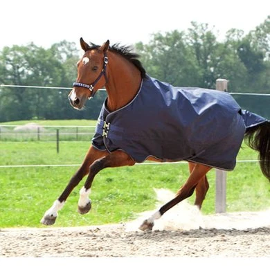 Kavalkade Outdoordeken Montreal 0g Navy 9 Kavalkade Outdoordeken Montreal 0g Navy - Afbeelding 9