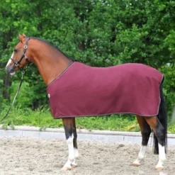Kavalkade Zweetdeken Ecoline Fleece Bordeaux -Exporteren Paard Gear Winkel kav bordeaux image 1.70db28