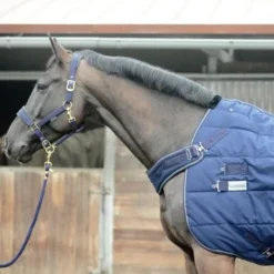 Kavalkade Deken Halifax 2in1 400g Navy 16 Kavalkade Deken Halifax 2in1 400g Navy -Exporteren Paard Gear Winkel kavalkade 46922 03.d91dd4 1