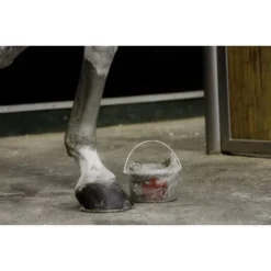 Kevin Bacon's Groene Klei Manicouagan 2kg -Exporteren Paard Gear Winkel kb argiledemanicouagankevinbacons3.5a39c5