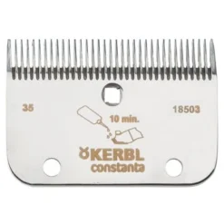 Constanta 1 En 2 Messet Paard