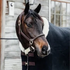 Kentucky Horsewear Kentucky Zweetdeken Show Fleece Heavy Zwart -Exporteren Paard Gear Winkel ken 485a1159.12f007