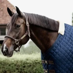 Kentucky Horsewear Kentucky Staldeken 200g Navy -Exporteren Paard Gear Winkel ken 485a3224.92225b