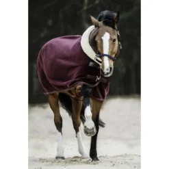 Kentucky Horsewear Kentucky Zweetdeken Show Fleece Heavy Bordeaux -Exporteren Paard Gear Winkel ken 52148 17 bordeaux3.c35f7f