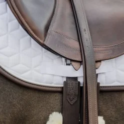 Kentucky Horsewear Kentucky Zadeldekje Skin Friendly Springen Wit Full 9 Kentucky Horsewear Kentucky Zadeldekje Skin Friendly Springen Wit Full -Exporteren Paard Gear Winkel kentucky 42468 wit 5.eadeb9