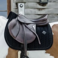 Kentucky Horsewear Kentucky Zadeldekje Velvet Pearls Springen Zwart Full -Exporteren Paard Gear Winkel kentucky 485a2277 .d7c88f