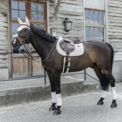 Kentucky Horsewear Kentucky Zadeldekje Velvet Pearls Dressuur Soft Rose Full -Exporteren Paard Gear Winkel kentucky 485a2486 .08a7e7