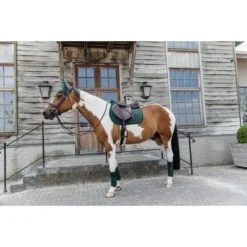 Kentucky Horsewear Kentucky Zadeldekje Velvet Pearls Springen Pine Green Full -Exporteren Paard Gear Winkel kentucky 485a2570.f93160