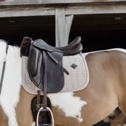 Kentucky Horsewear Kentucky Zadeldekje Skin Friendly Velvet Dressuur Beige Full 6 Kentucky Horsewear Kentucky Zadeldekje Skin Friendly Velvet Dressuur Beige Full -Exporteren Paard Gear Winkel kentucky 485a3624 564c22e810080218547dfa1c1093aa08 article photobook l.462952