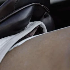 Kentucky Horsewear Kentucky Zadeldekje Skin Friendly Velvet Dressuur Beige Full 8 Kentucky Horsewear Kentucky Zadeldekje Skin Friendly Velvet Dressuur Beige Full -Exporteren Paard Gear Winkel kentucky 485a3639 564c22e810080218547dfa1c1093aa08 article photobook l.a80422