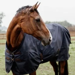 Kentucky Horsewear Kentucky Turnout Rug All Weather Waterproof Classic 0g Navy -Exporteren Paard Gear Winkel kentucky 485a4426.2c2eb9 1