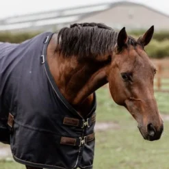 Kentucky Horsewear Kentucky Turnout Rug All Weather 0g Navy -Exporteren Paard Gear Winkel kentucky 485a4489.02c276