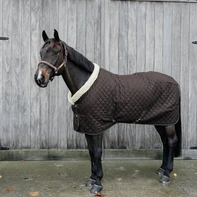 Kentucky Horsewear Kentucky Showdeken 160g Bruin 1 Kentucky Horsewear Kentucky Showdeken 160g Bruin