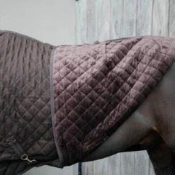 Kentucky Horsewear Kentucky Showdeken 160g Bruin 19 Kentucky Horsewear Kentucky Showdeken 160g Bruin -Exporteren Paard Gear Winkel kentucky 485a5844.ca0e7f