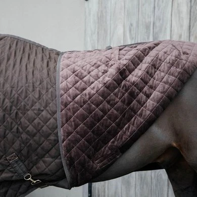 Kentucky Horsewear Kentucky Showdeken 160g Bruin 7 Kentucky Horsewear Kentucky Showdeken 160g Bruin - Afbeelding 7