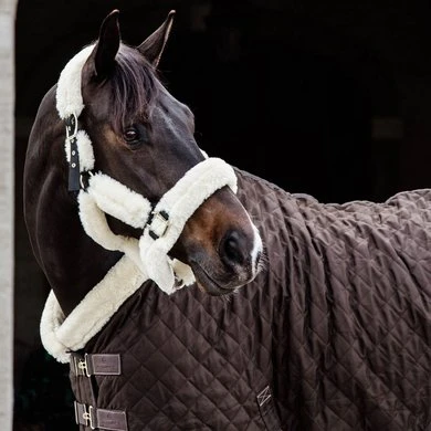 Kentucky Horsewear Kentucky Showdeken 160g Bruin 3 Kentucky Horsewear Kentucky Showdeken 160g Bruin - Afbeelding 3