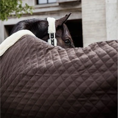 Kentucky Horsewear Kentucky Showdeken 160g Bruin 4 Kentucky Horsewear Kentucky Showdeken 160g Bruin - Afbeelding 4