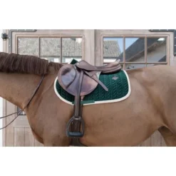 Kentucky Horsewear Kentucky Spring Zadeldekje Classic Contrast Pine Green Full -Exporteren Paard Gear Winkel kentucky 485a7431.d9a568
