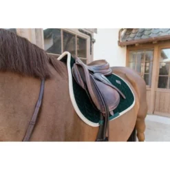 Kentucky Horsewear Kentucky Spring Zadeldekje Classic Contrast Pine Green Full -Exporteren Paard Gear Winkel kentucky 485a7445.1487f9