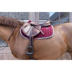 Exporteren Paard Gear Winkel -Exporteren Paard Gear Winkel kentucky 485a7506.43cf09