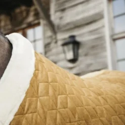 Kentucky Horsewear Kentucky Showdeken Velvet 160g Mosterd -Exporteren Paard Gear Winkel kentucky 485a9351 a929523.be37ee