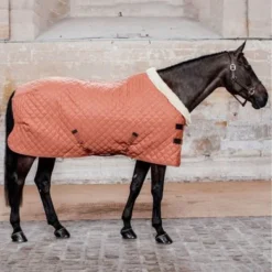 Kentucky Horsewear Kentucky Showdeken 160g Autumn Orange -Exporteren Paard Gear Winkel kentucky 52101 45 3.b13e93
