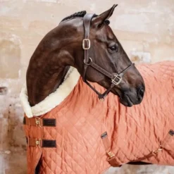Kentucky Horsewear Kentucky Showdeken 160g Autumn Orange -Exporteren Paard Gear Winkel kentucky 52101 45 7.2acd3a