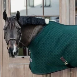 Kentucky Horsewear Kentucky Coolerdeken 4D Spacer Pine Green -Exporteren Paard Gear Winkel kentucky 63c95091ad537 33e8e0aa8d507daa331d024bc491dc8501de62b4 485a3364.d7df90