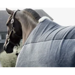Kentucky Horsewear Kentucky Fleecedeken Heavy Grey -Exporteren Paard Gear Winkel kentucky fleecedeken heavy grey 1.8a1bb2