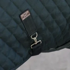 Kentucky Horsewear Kentucky Showdeken 160g Donkergroen -Exporteren Paard Gear Winkel kentucky showdeken 160g dg 2.9d7ffc