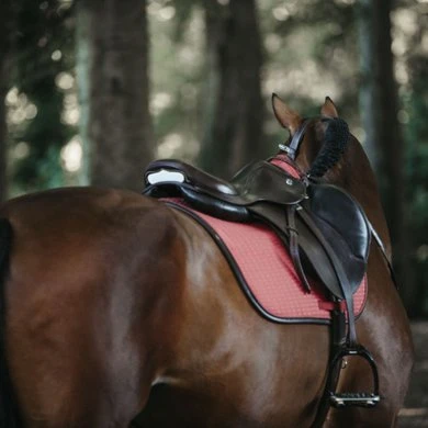 Kentucky Horsewear Kentucky Spring Zadeldekje Color Edition Leather Corale Full 4 Kentucky Horsewear Kentucky Spring Zadeldekje Color Edition Leather Corale Full - Afbeelding 4