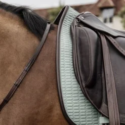 Kentucky Horsewear Kentucky Zadeldekje Color Edition Leather Dr Mint Full -Exporteren Paard Gear Winkel kentucky zadeldekje color edition leather dr mint 1.910c0c