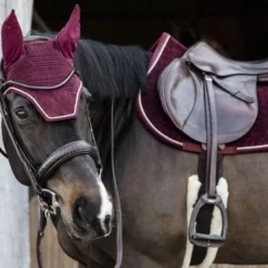 Kentucky Horsewear Kentucky Zadeldekje Velvet Springen Bordeaux Full -Exporteren Paard Gear Winkel kentucky zadeldekje velvet springen bordeaux 2.fb1a7a