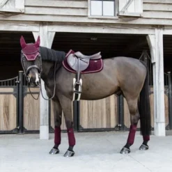 Kentucky Horsewear Kentucky Zadeldekje Velvet Springen Bordeaux Full -Exporteren Paard Gear Winkel kentucky zadeldekje velvet springen bordeaux 3.221ac1