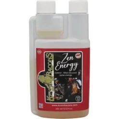 Kevin Bacon's Zen Energy 400ml