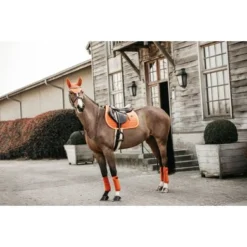 Kentucky Horsewear Kentucky Zadeldekje Velvet Springen Oranje Full -Exporteren Paard Gear Winkel kh 42579 45 4.c4057b