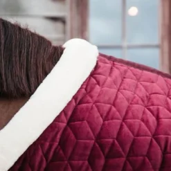 Kentucky Horsewear Kentucky Showdeken Velvet 160g Bordeaux -Exporteren Paard Gear Winkel kh 485a0019.049fe1