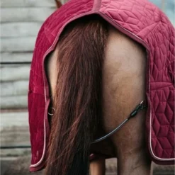 Kentucky Horsewear Kentucky Showdeken Velvet 160g Bordeaux -Exporteren Paard Gear Winkel kh 485a9985.b6dbdd
