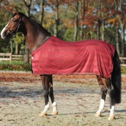 Kavalkade Vliegendeken Stripe Bordeaux -Exporteren Paard Gear Winkel kv 45722 01.4d572b