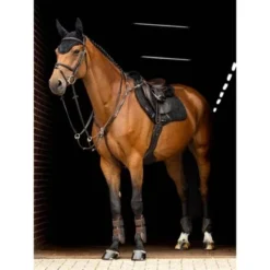 LeMieux Zadeldekje Crystal Suede Close Contact Zwart -Exporteren Paard Gear Winkel lemieux 1s6a0228 edit copy.7f381e