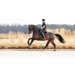 LeMieux Zadeldekje Dressuur Puissance Suede Bruin -Exporteren Paard Gear Winkel lemieux it03807 lifestyle puissancesuededressagepad brown 7 copy.785527